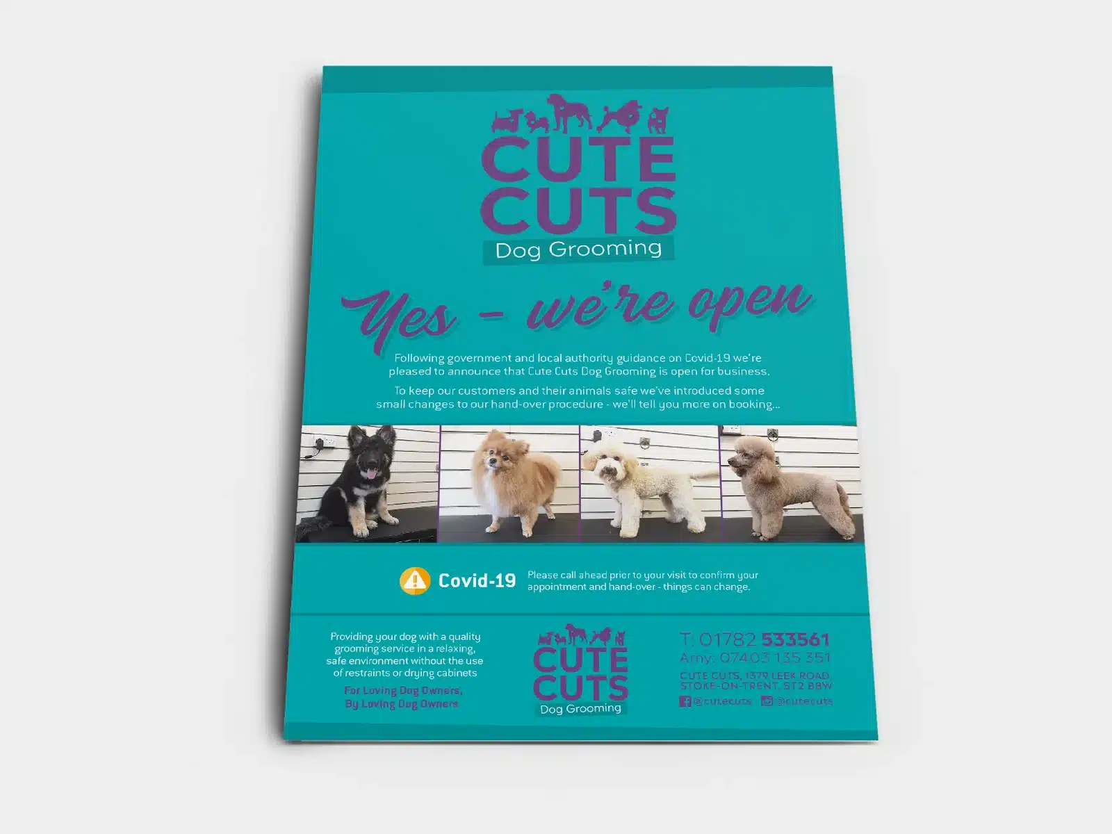 Leaflets for a dog grooming business
