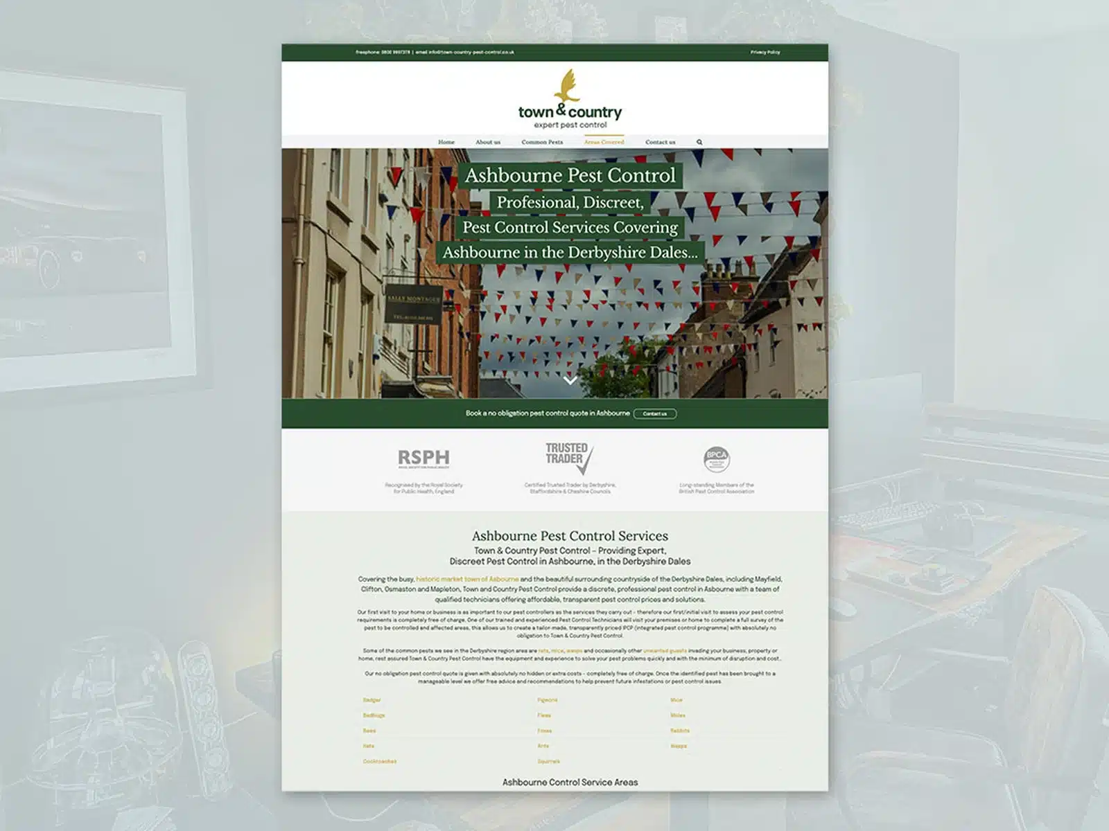 Local landing page for a pest control company website Local landing page for a pest control company website